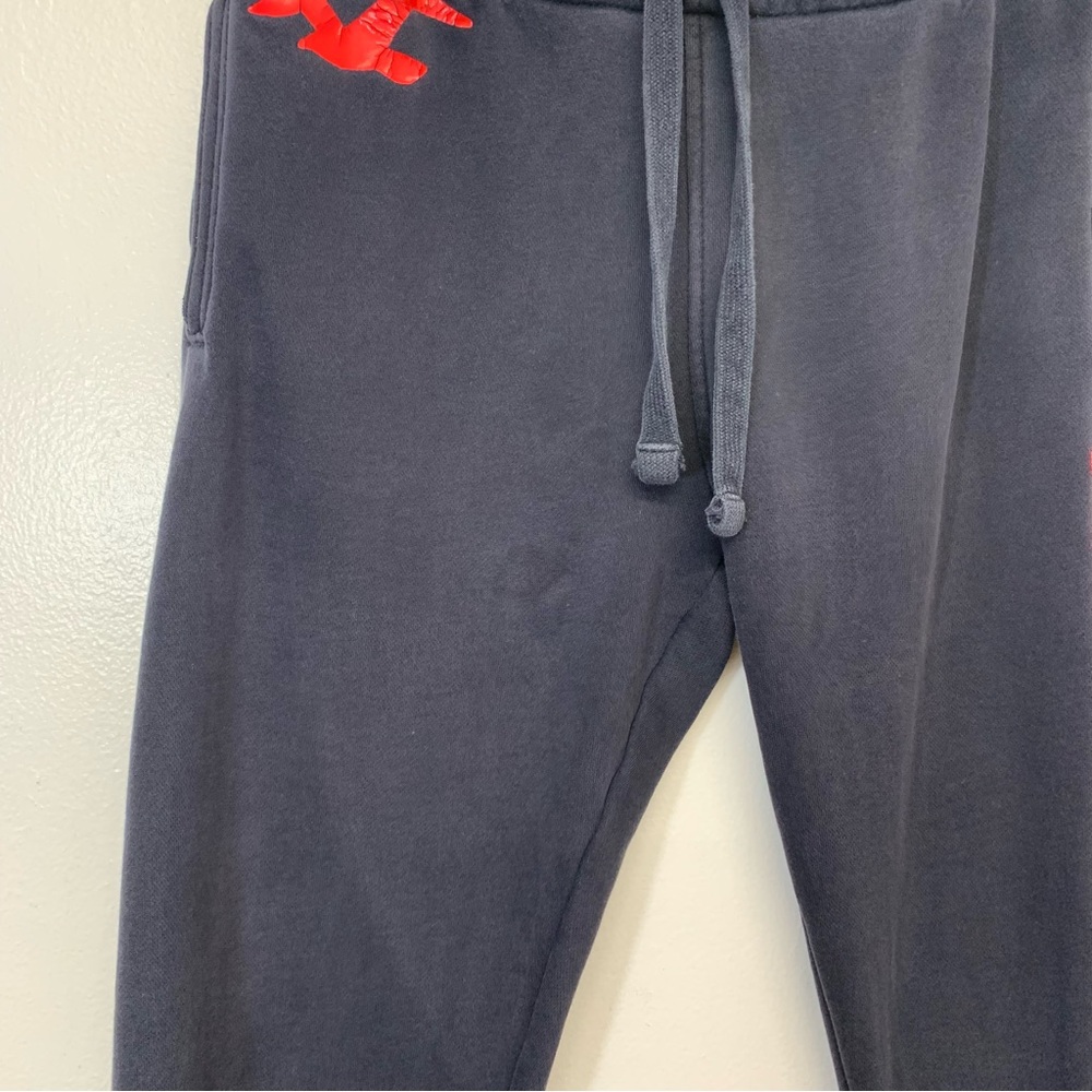 Hollister Mens Sweatpants Y2K Medium Lounge Blue Red Spell Out Pockets Casual - Picture 5 of 12
